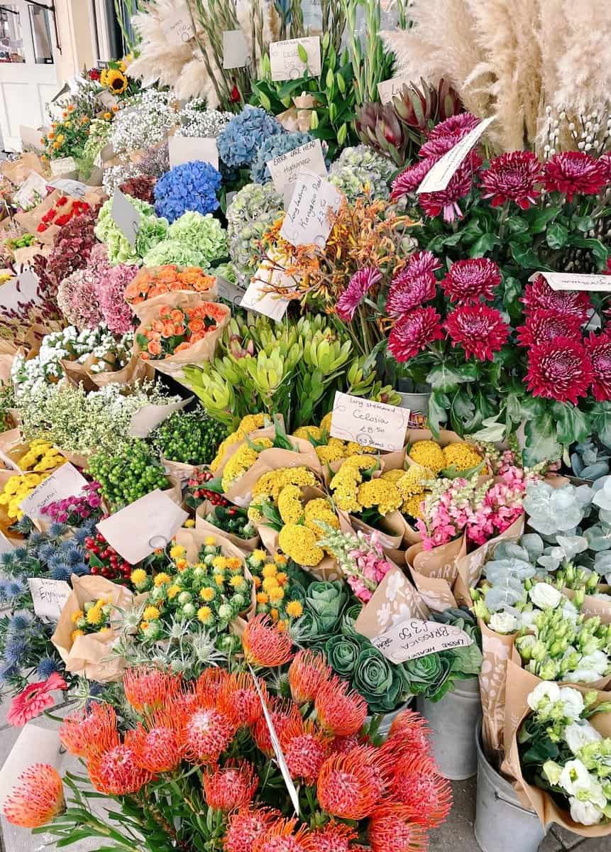instagrammable_flowers_london_gardenia_florist_wimbledon_village