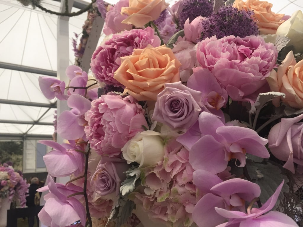Chelsea_Flower_Show_2016125