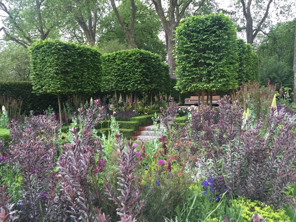 Chelsea_Flower_Show_2016245
