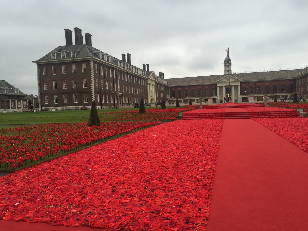 Chelsea_Flower_Show_201661