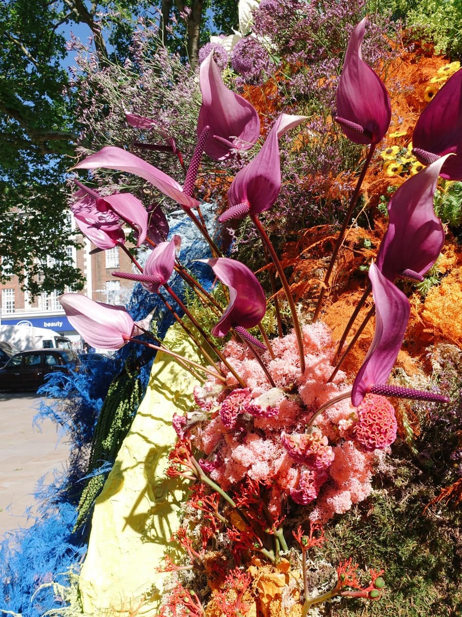 Best floral shop displays at Chelsea in Bloom 2019