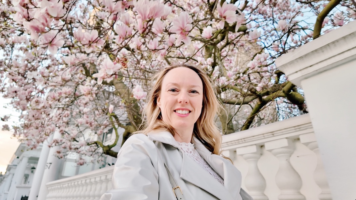 harcourt_terrace_magnolia_london