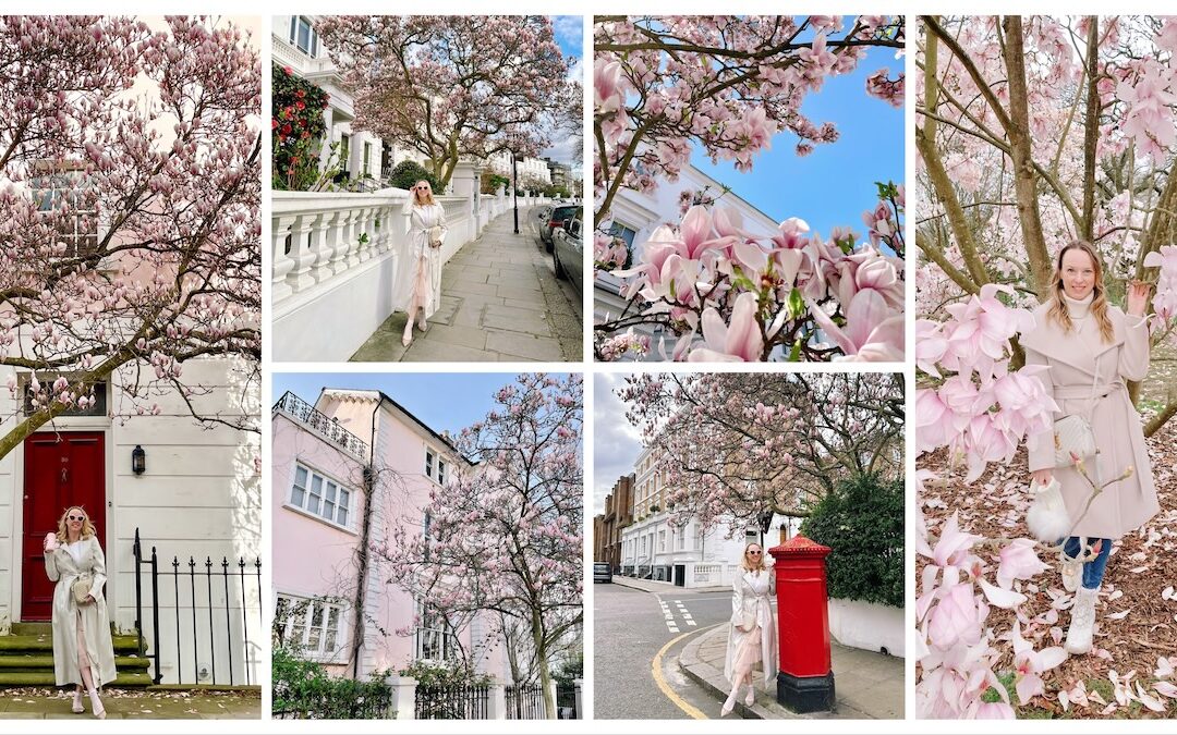 Magnolia in London: The Most Instagrammable Locations