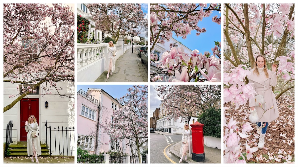 magnolia_london_spring_instagrammable_places