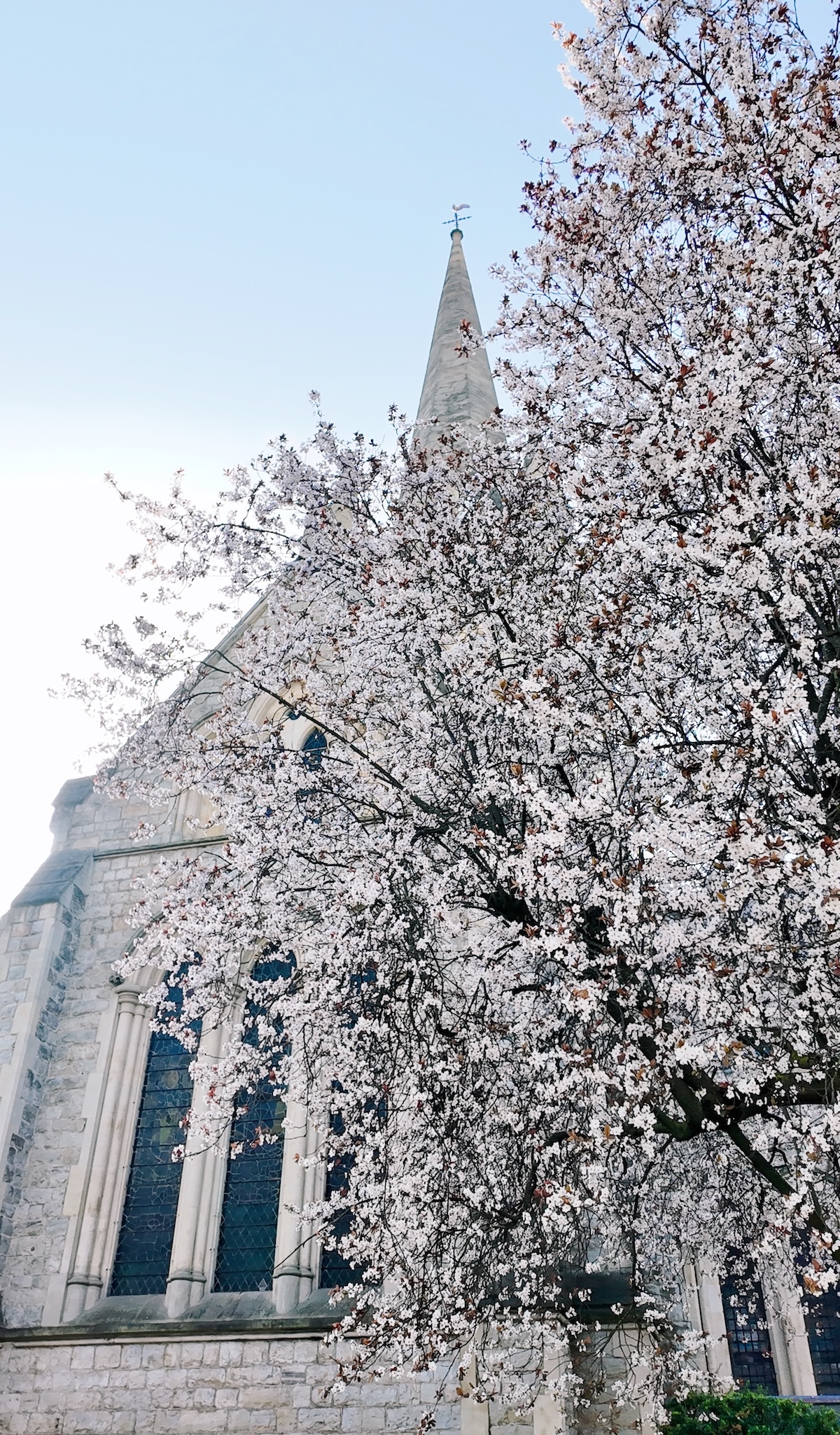 st_johns_church_blossom_notting_hill