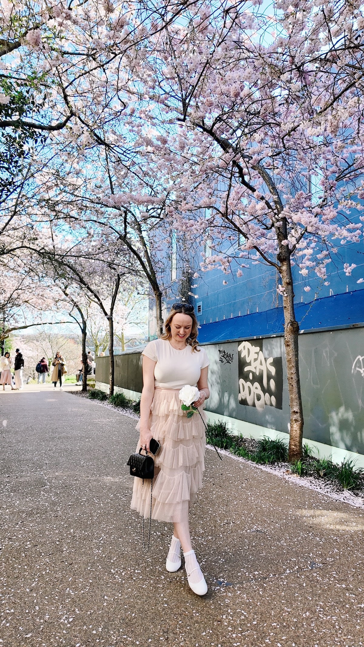 swiss_cottage_blossom_london_2026_spring