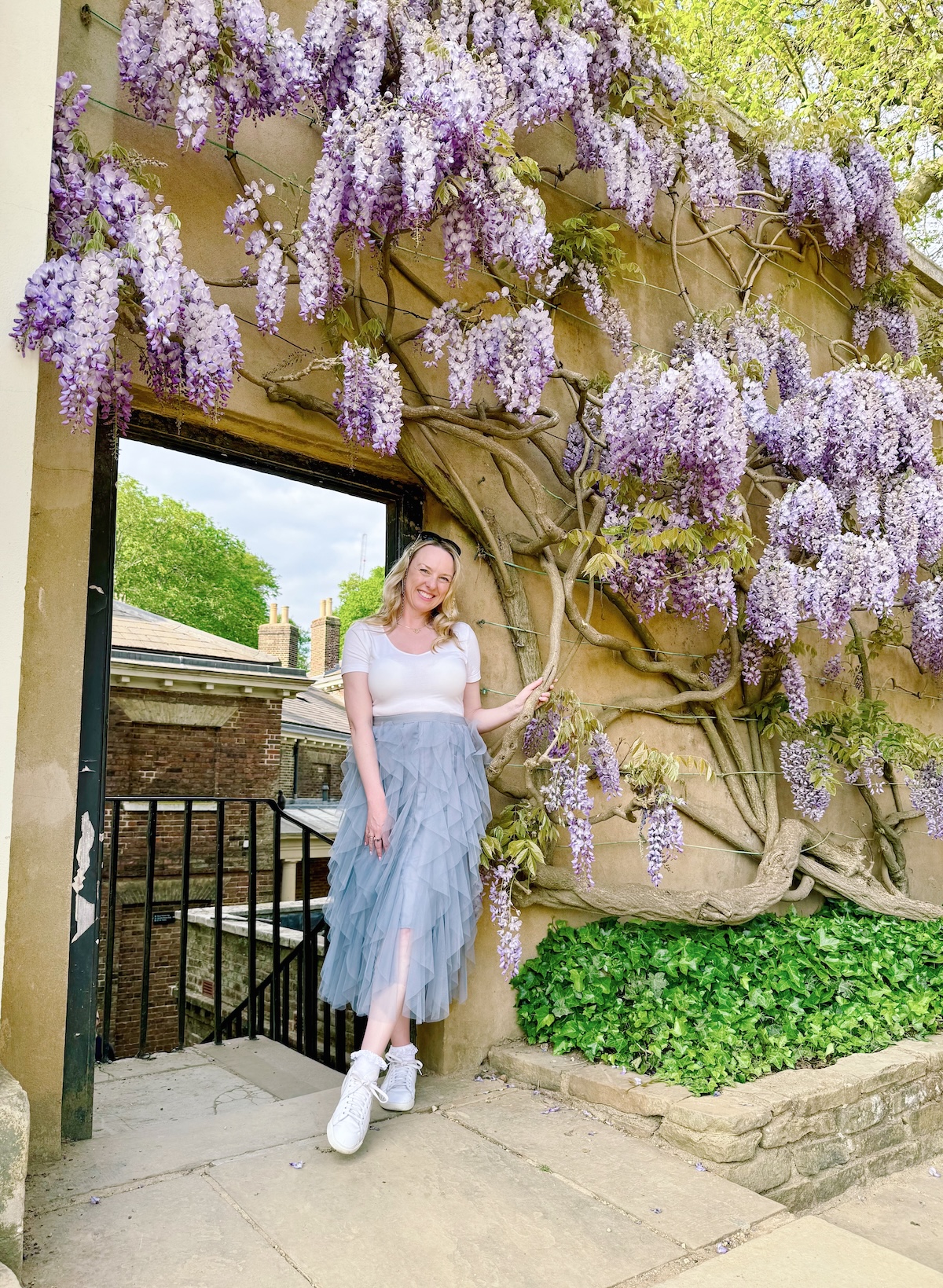kenwood_house_wisteria_london