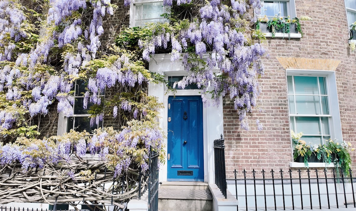 wisteria_london_best_places_portobello_road_notting_hil