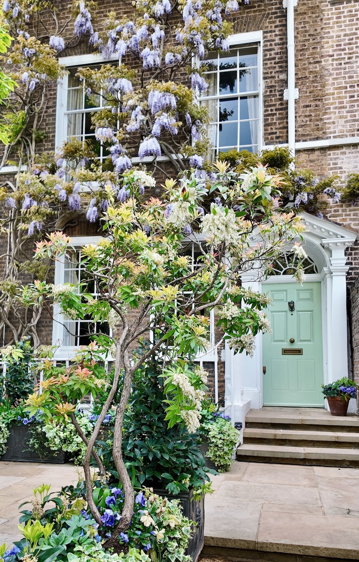 wisteria_london_best_places_st_leonards_terrace