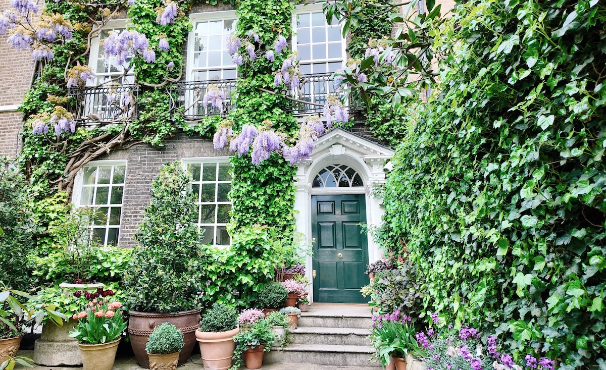 wisteria_london_best_places_st_leonards_terrace_chelsea.jpg