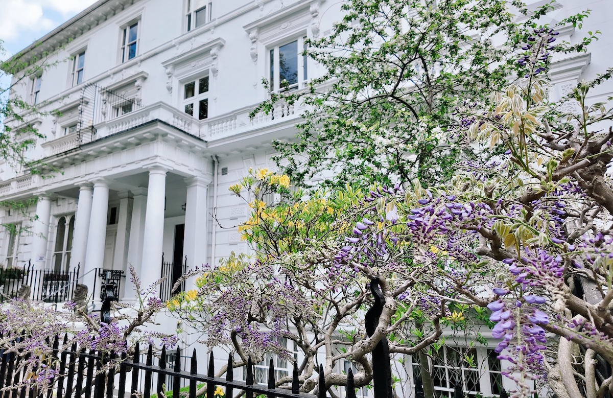 wisteria_london_best_places_the_boltons_kensington