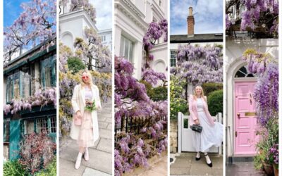 Wisteria Hysteria – Most Instagrammable Places in London