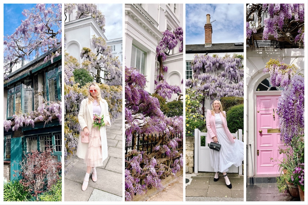 wisteria_london_instagrammable_places