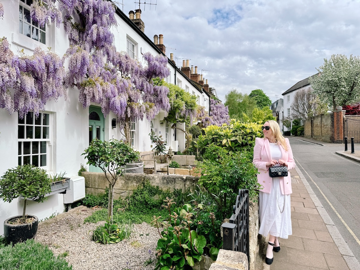 wisteria_london_richmond_old_palace_lane