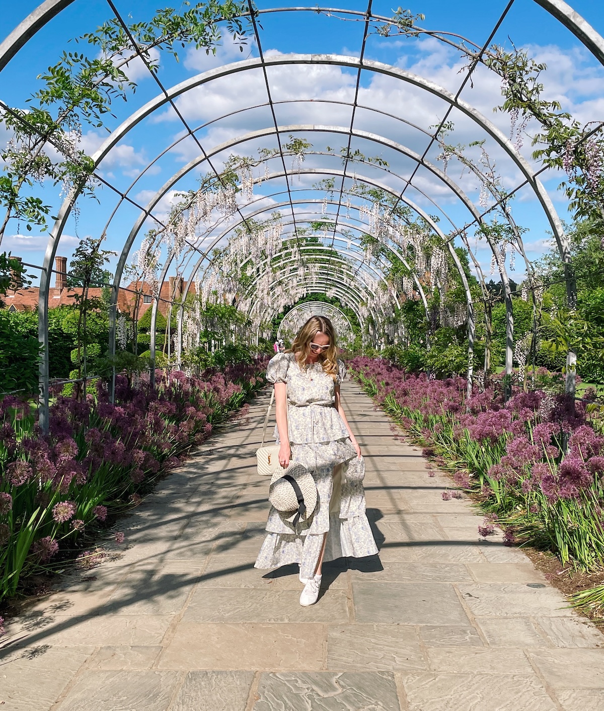 wisteria_rhs_wisley