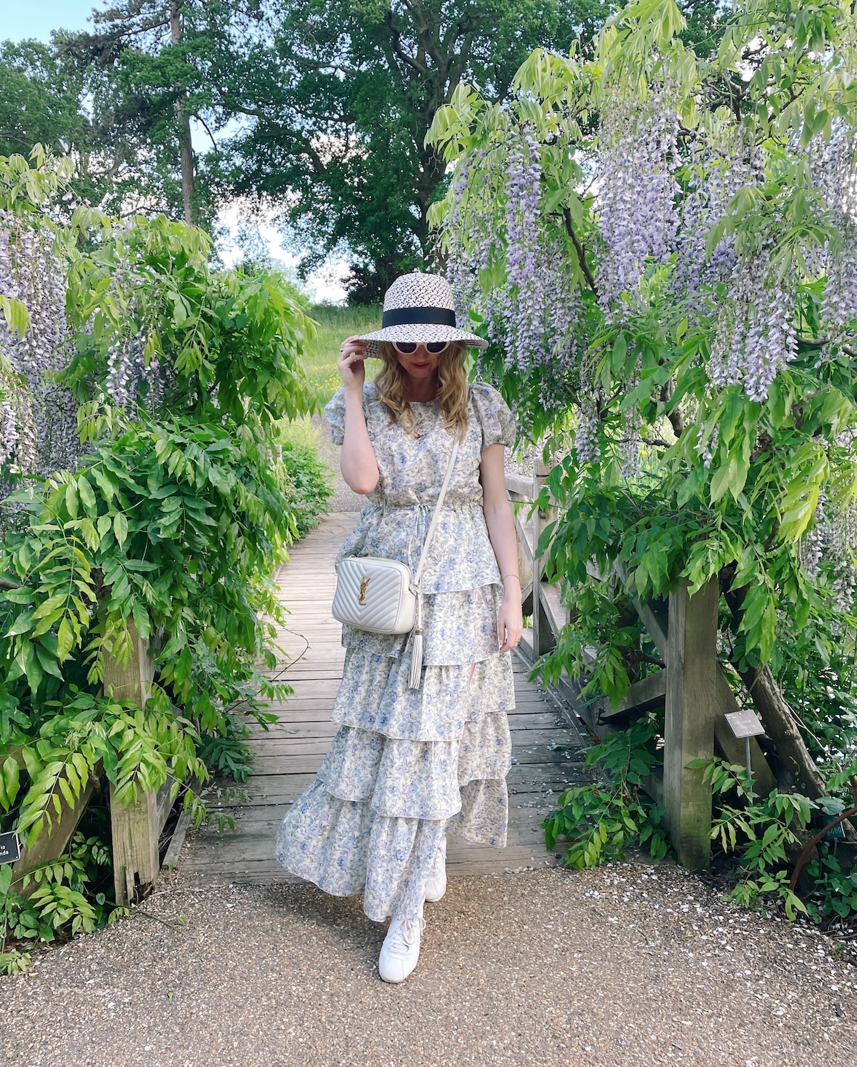 wisteria_rhs_wisley_gardens