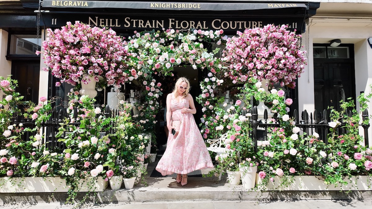 belgravia_in_bloom_2025_neill_strain_roses