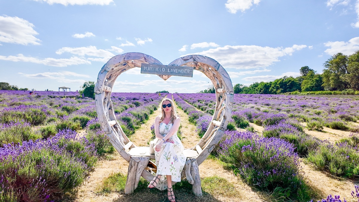 mayfield_lavender_farm_banstead_heart_shape