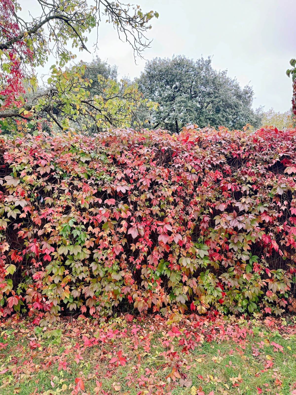 autumn_in_london_kensington_palace_gardens