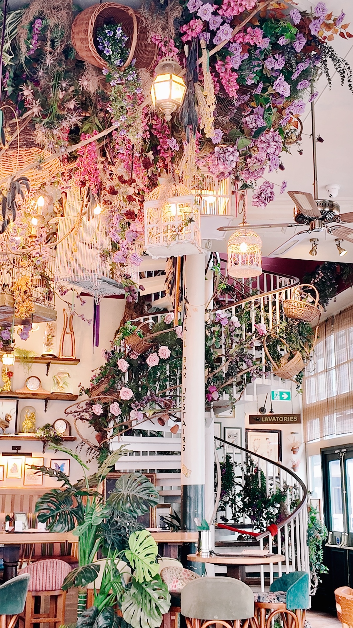 autumn_london_mr_foggs_botanical