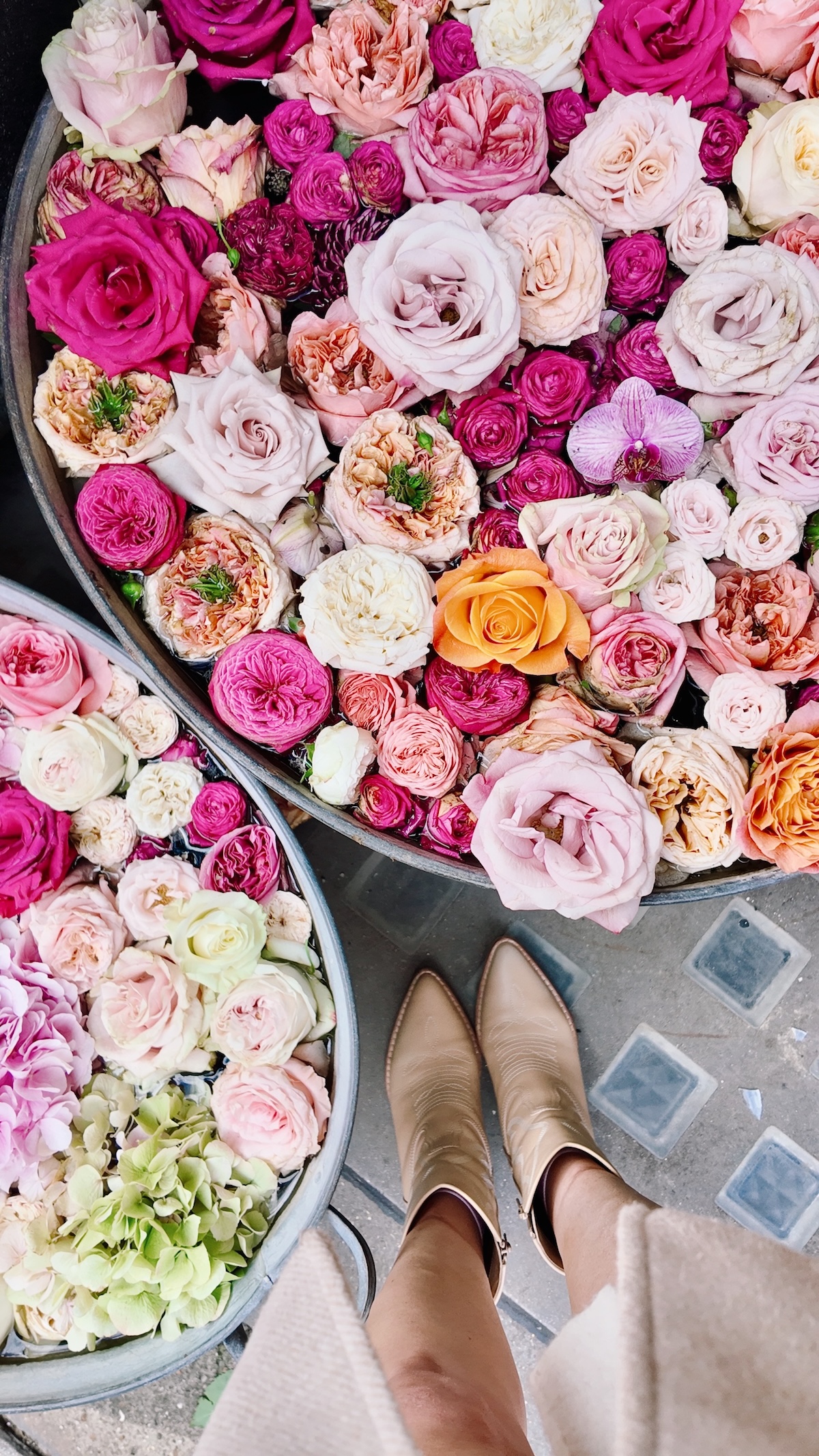 autumn_london_wild_things_flowers