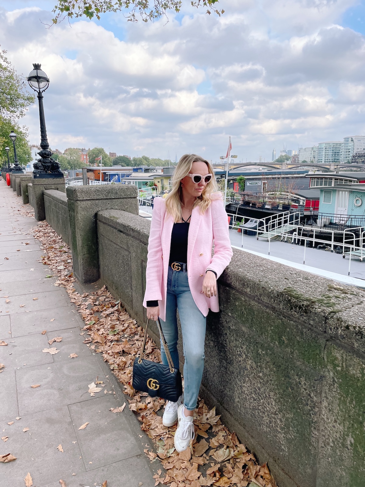 cheyne_walk_area_autumn_in_london