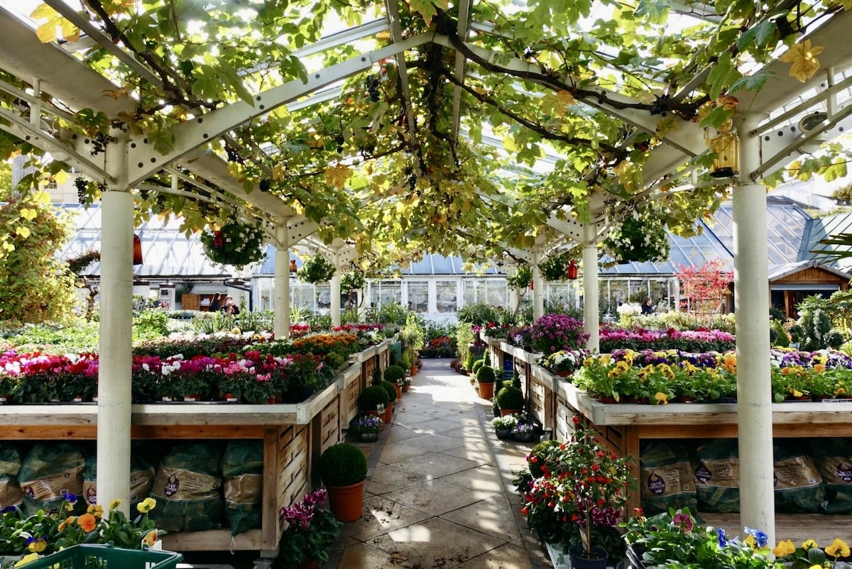 clifton_nurseries_autumn_london
