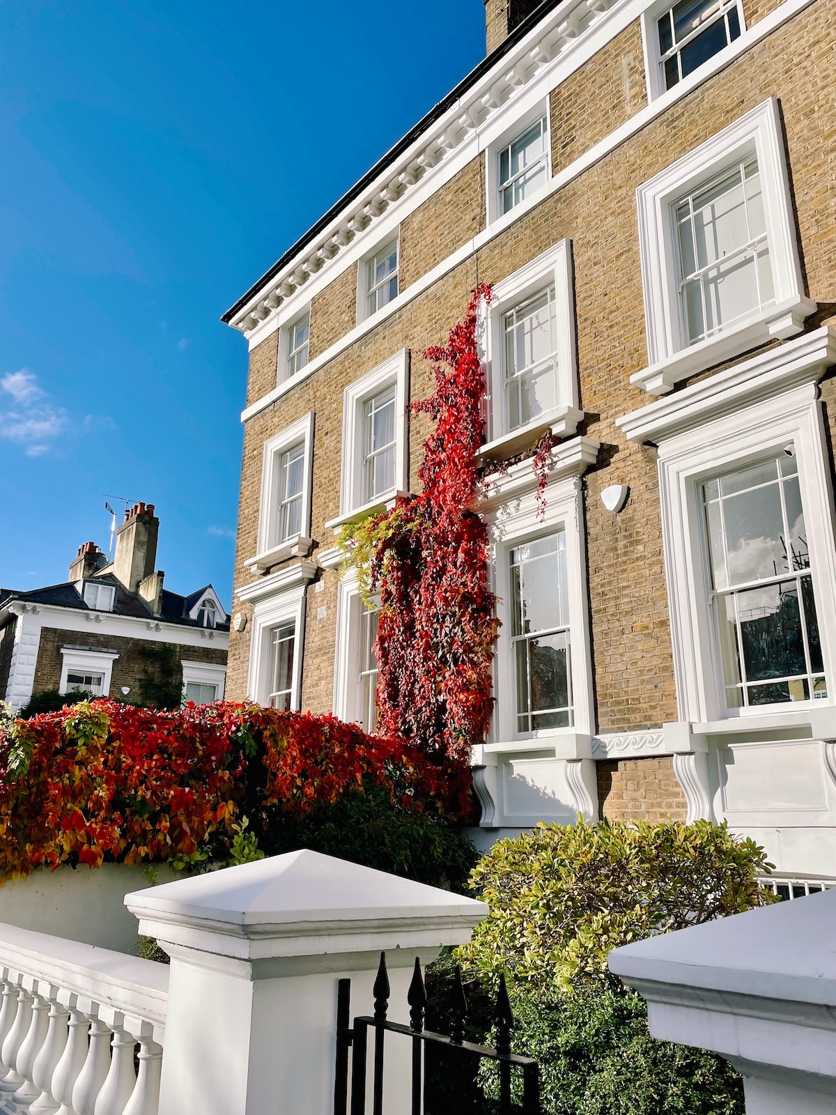 kensington_red_ivy_autumn_london