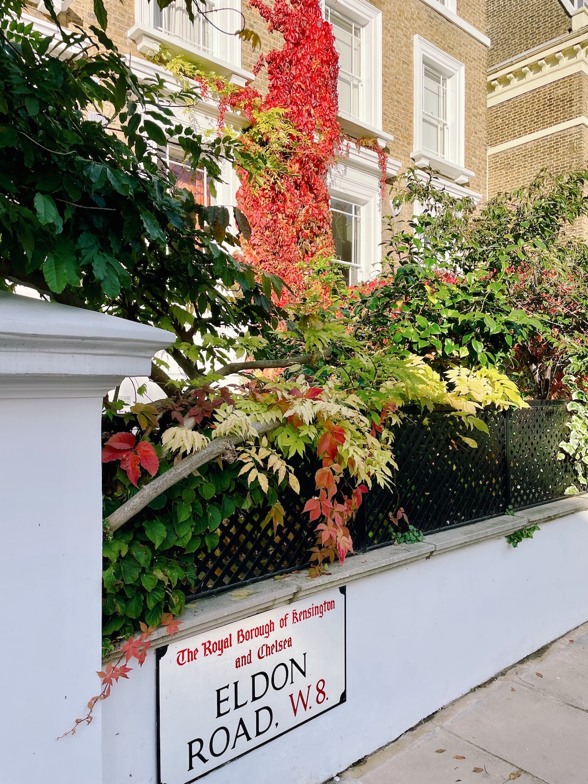 kensington_red_ivy_autumn_london