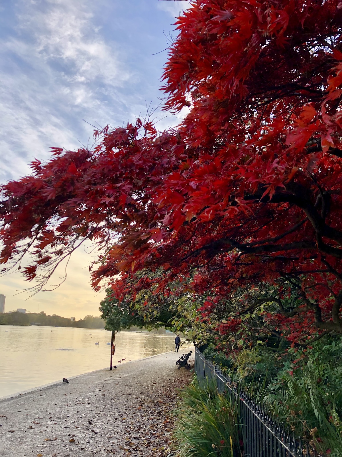 hyde_park_autumn_london_serpentine