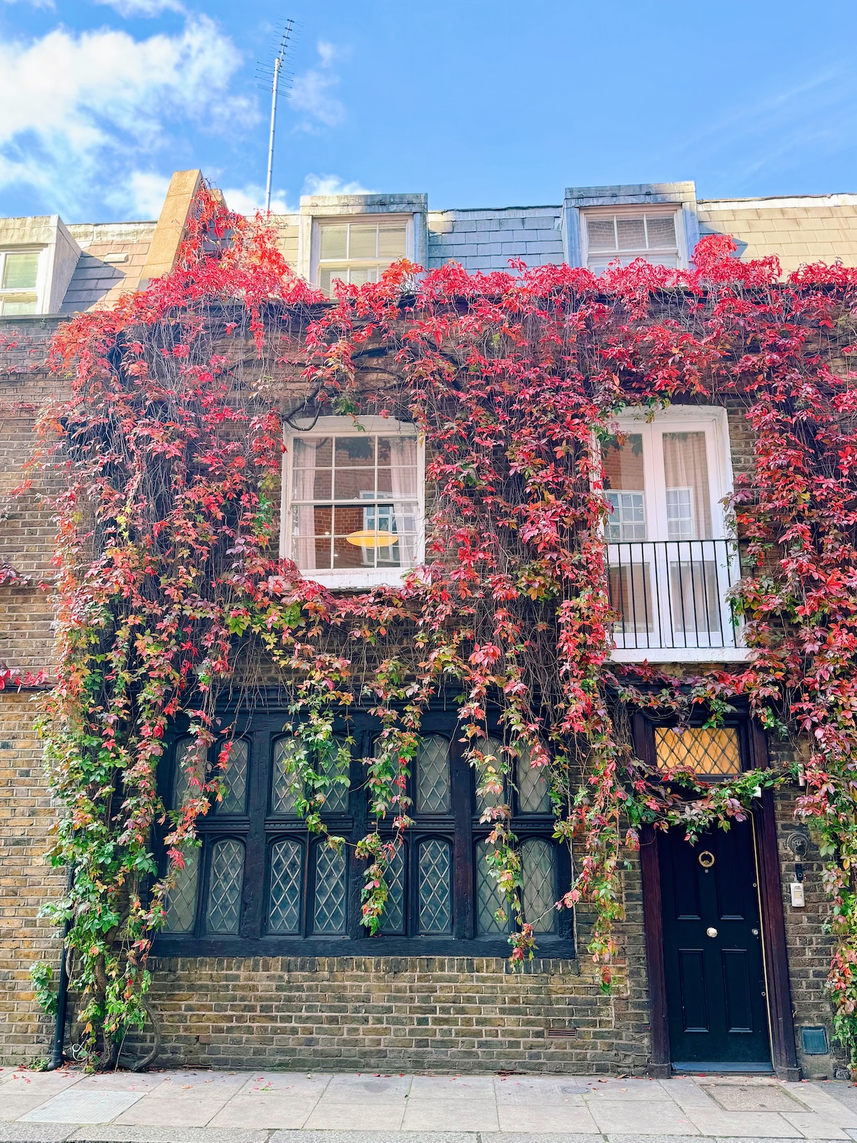 kensington_red_ivy_autumn_london