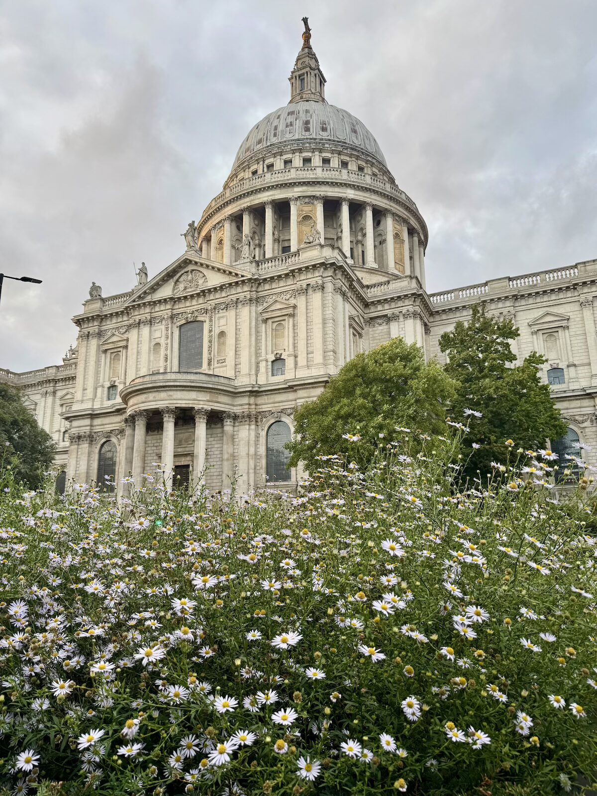 st_pauls_autumn_london