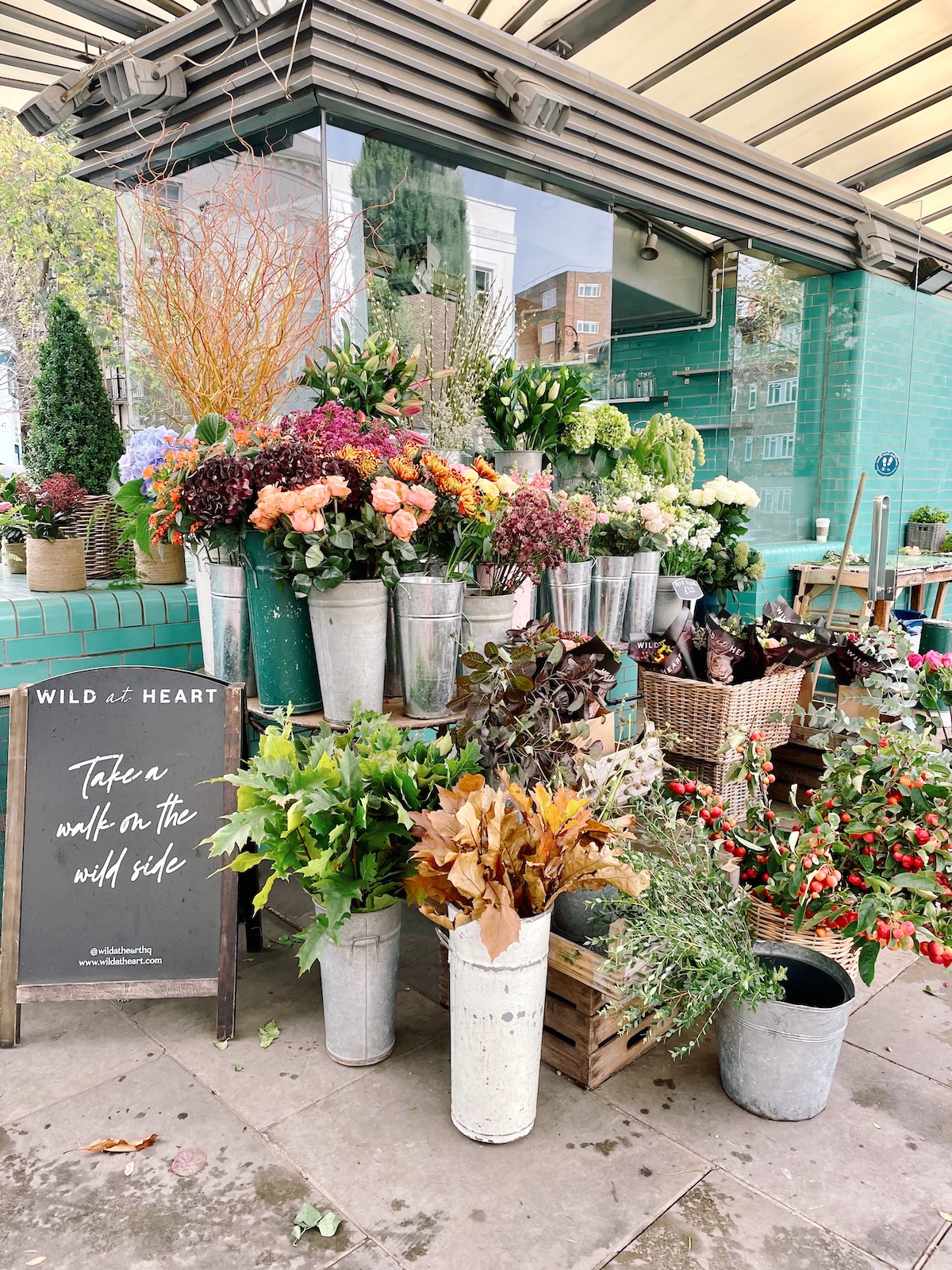 wild_at_heart_notting_hill_autumn_london