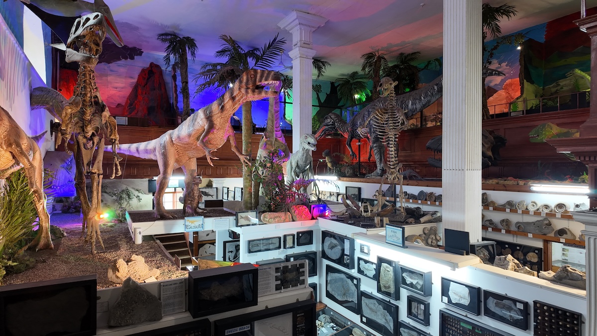 dinosaurland_fossil_museum_lyme_regis