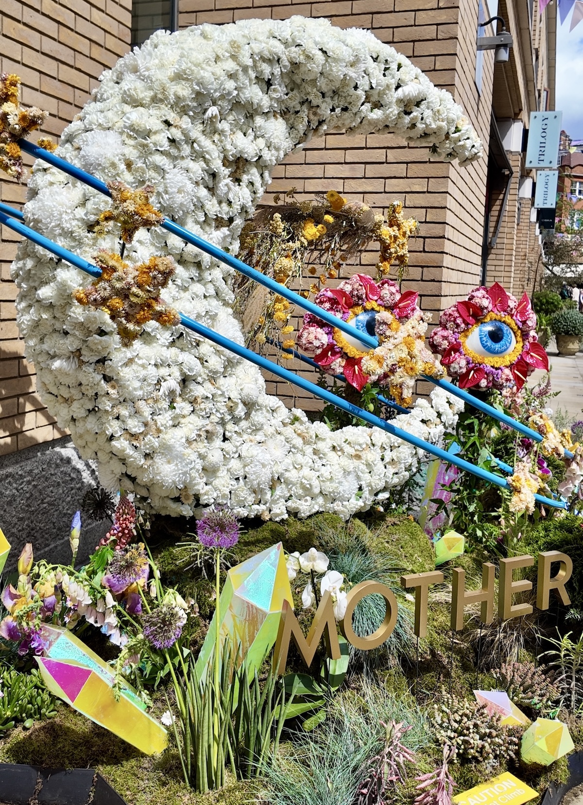 trilogy_chelsea_in_bloom_2026_mother