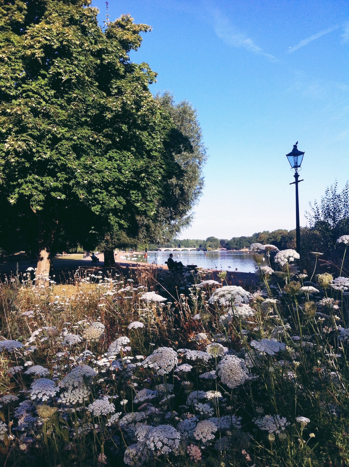 hyde_park_london_summer